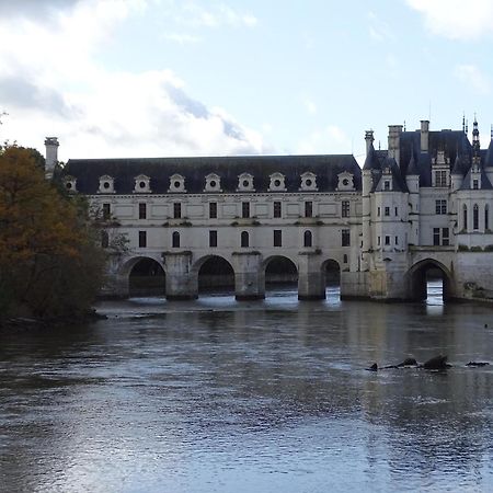 Trainefeuilles - Chambres D'Hotes Proche Zoo De Beauval Le Controis-en-Sologne Exteriör bild