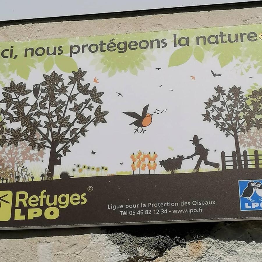 Trainefeuilles - Chambres D'Hotes Proche Zoo De Beauval Le Controis-en-Sologne Exteriör bild