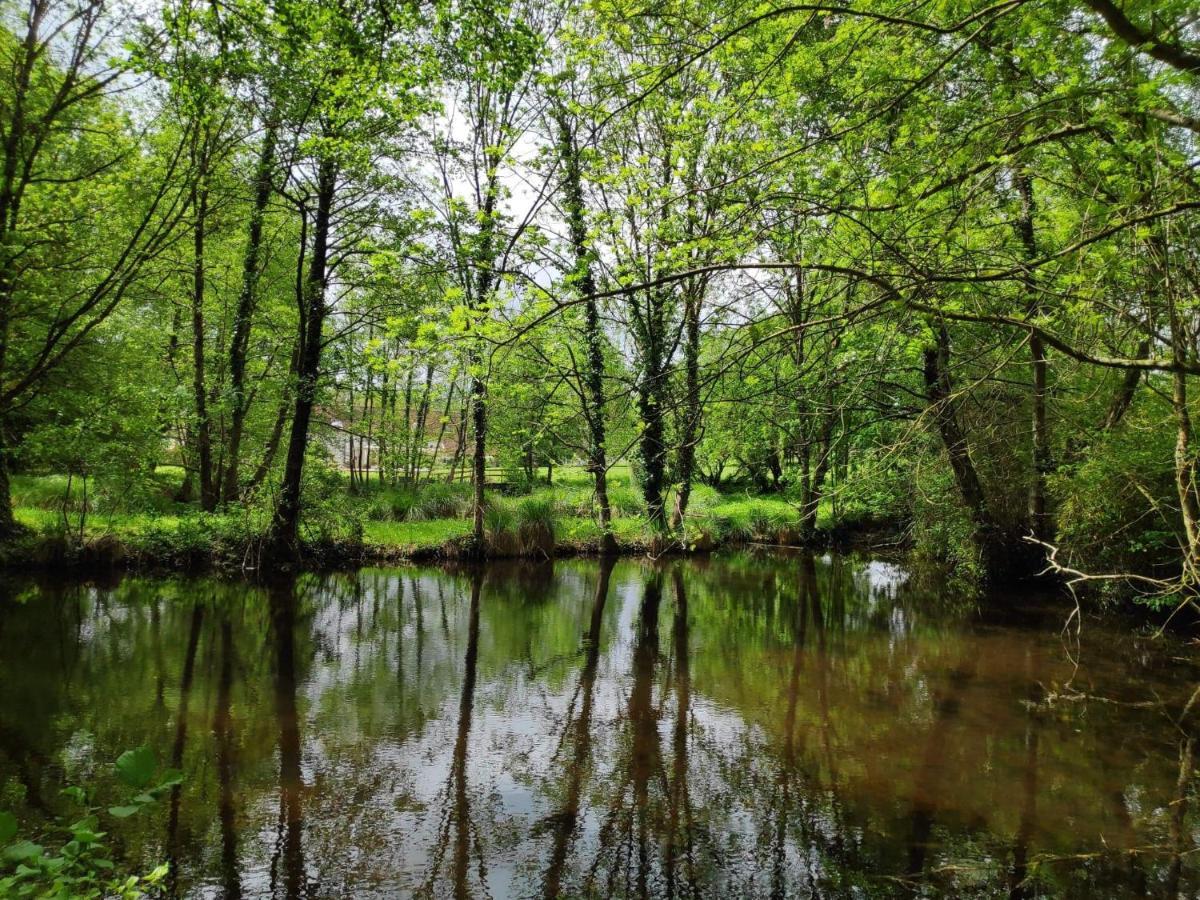Trainefeuilles - Chambres D'Hotes Proche Zoo De Beauval Le Controis-en-Sologne Exteriör bild