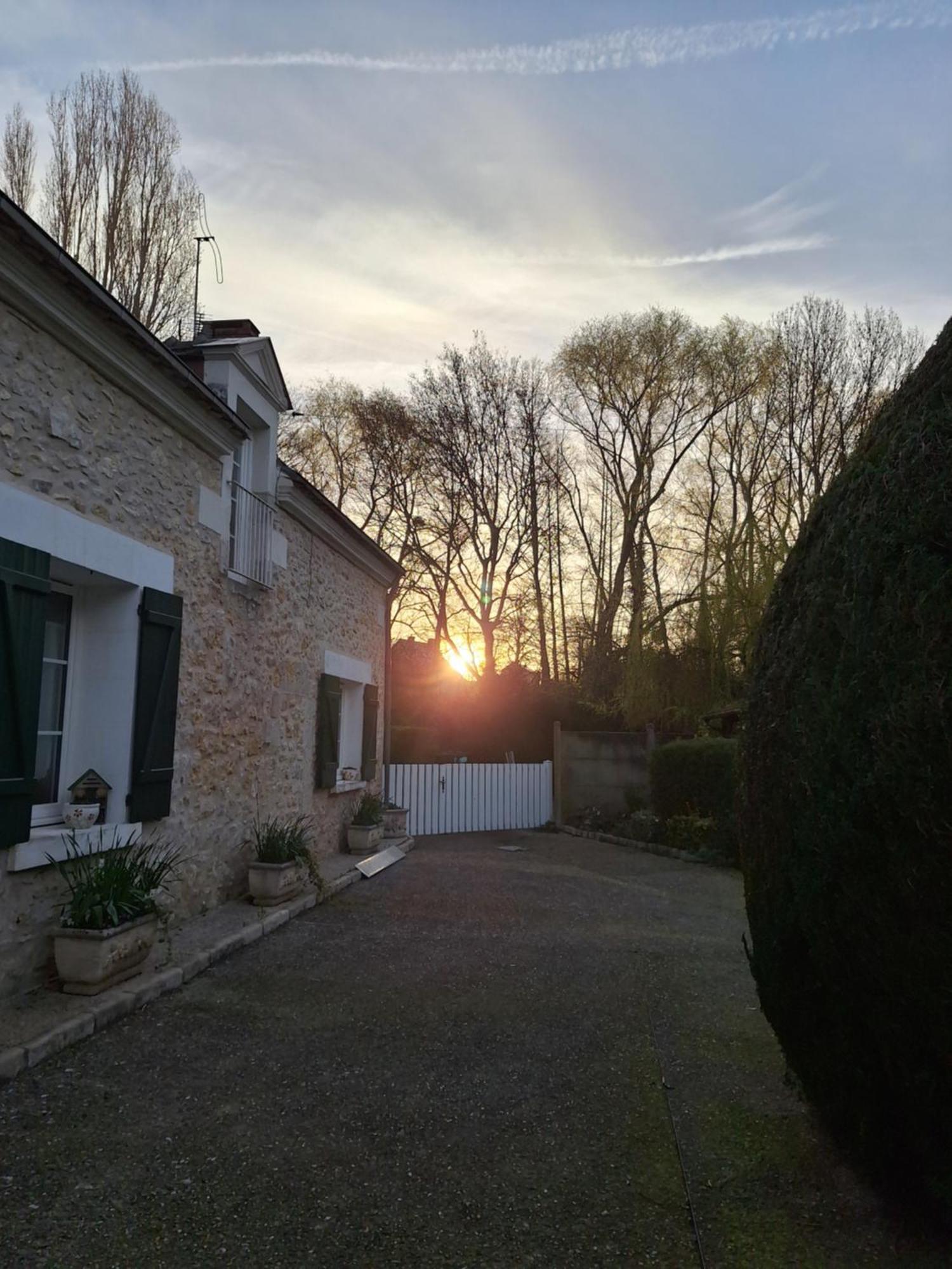 Trainefeuilles - Chambres D'Hotes Proche Zoo De Beauval Le Controis-en-Sologne Exteriör bild
